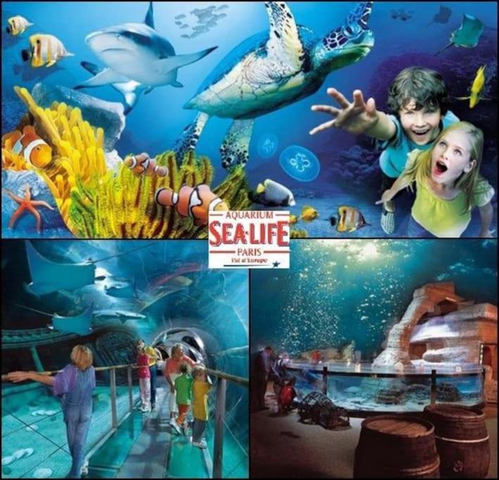 Disneyland Dream 5 - Charmante Maison 10 Pax Chessy  Dış mekan fotoğraf